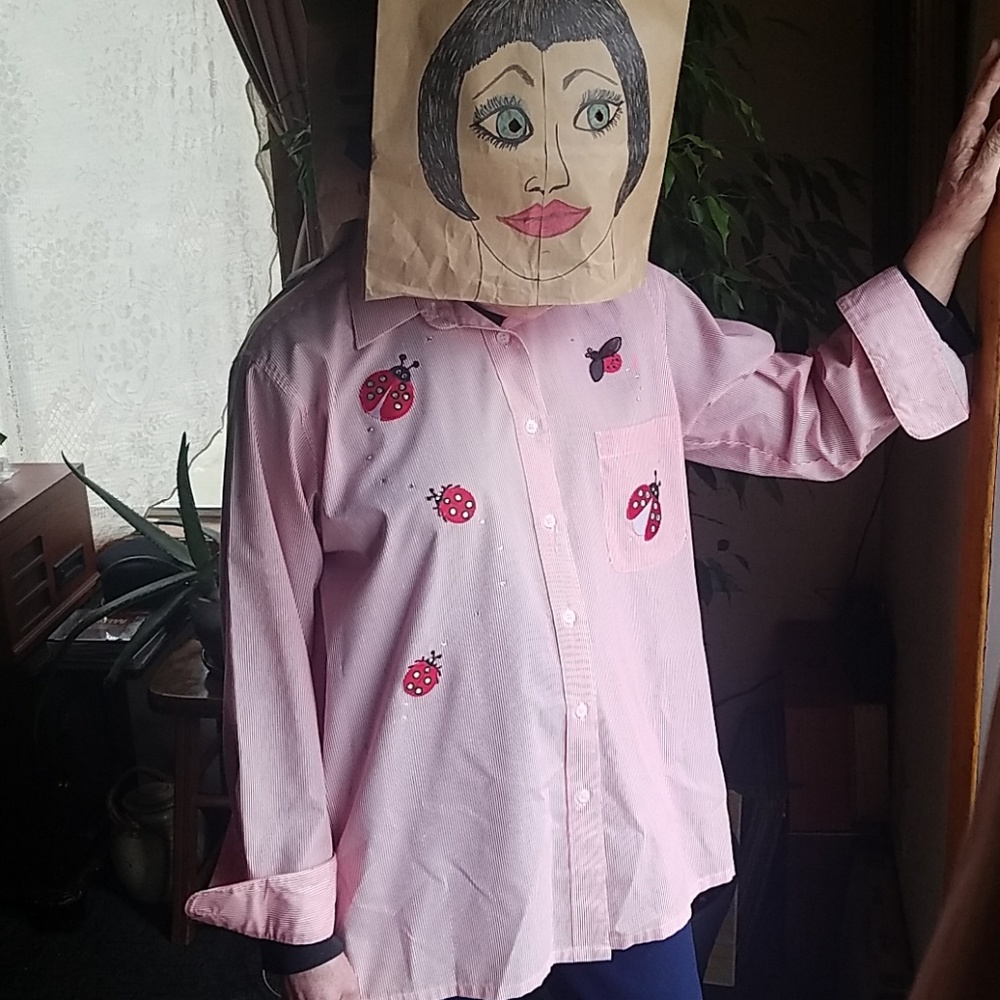 EUC Hana Ladybug button down shirt